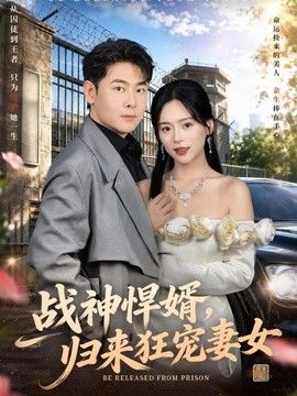 战神悍婿，归来狂宠妻女 同类型推荐