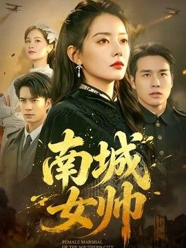 南城女帅 同类型推荐