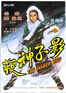 影子神鞭[电影解说] 同类型推荐