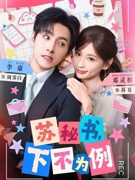 苏秘书，下不为例 同类型推荐