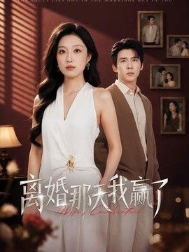 离婚那天我赢了 同类型推荐