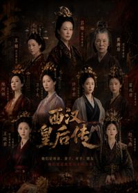 西汉皇后传 同类型推荐