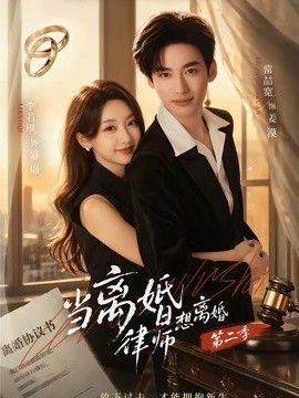 当离婚律师想离婚第二季 同类型推荐