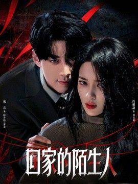 回家的陌生人 同类型推荐