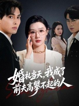 婚礼当天，我成了前夫高攀不起的人 同类型推荐