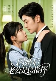 闪婚后老公是总指挥 同类型推荐