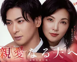緻親愛的丈夫~完美妻子的謊言~ 同類型推薦