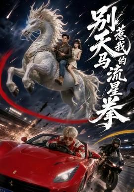 别惹我的天馬流星拳