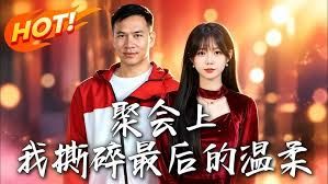 聚会上，我撕碎最后的温柔 同类型推荐