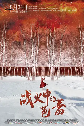 战火中的芭蕾[电影解说] 同类型推荐