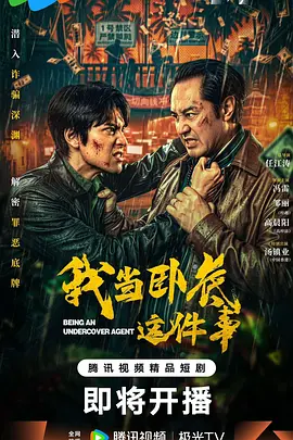 我当卧底这件事 同类型推荐