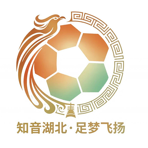 湖北省城市足球联赛 神农架队VS荆门金龙泉队20260801 同类型推荐