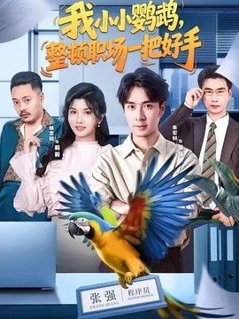 我小小鹦鹉，整顿职场一把好手 同类型推荐