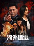 海外追逃 同类型推荐
