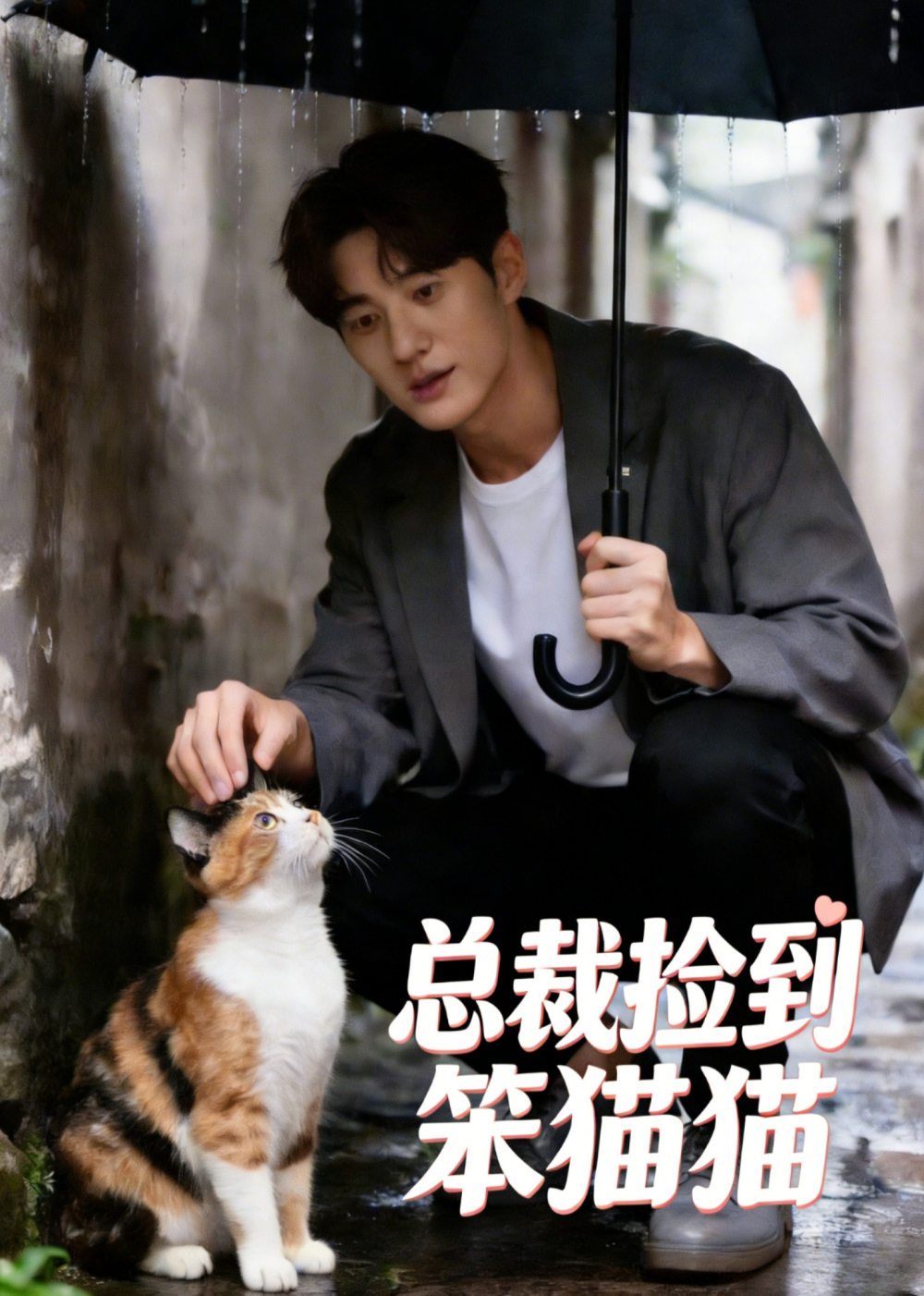 總裁撿到笨貓貓