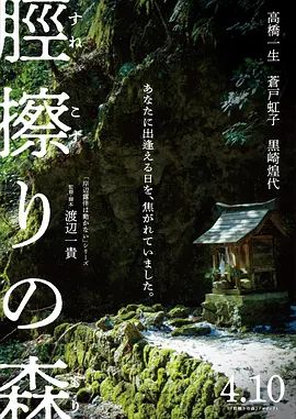 胫擦之森 同类型推荐