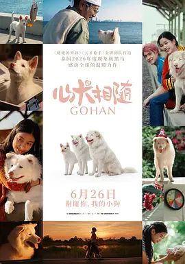 心犬相随 同類型推薦